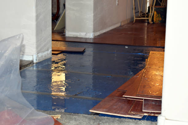 Professional Water Damage Restoration technician working in Sunnyside, CA